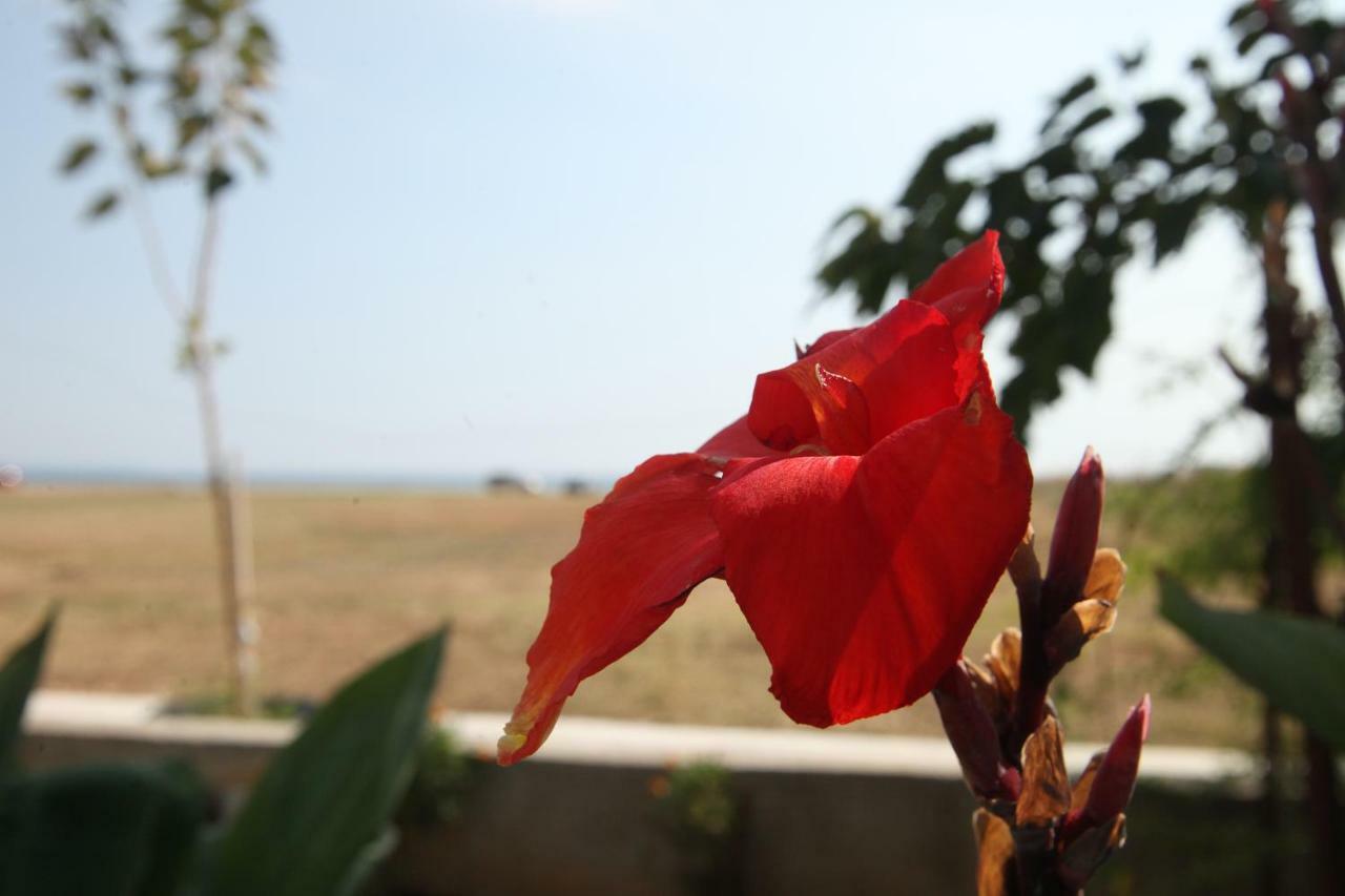See To Sea Apartments Paralia Dionysiou Buitenkant foto